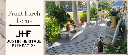 The Front Porch and Ferns